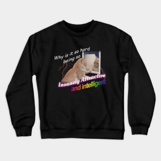 Why Is It So Hard Being So Insanely Attractive And Intelligent Meme Crewneck Sweatshirt